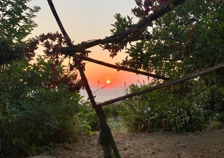 Ricomincio Da Te Villa Vico Equense Luaran gambar